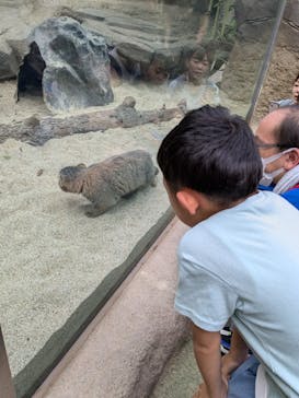 神戸どうぶつ王国に投稿された画像（2024/9/15）