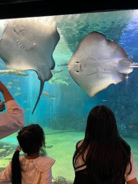 越前松島水族館に投稿された画像（2024/11/14）