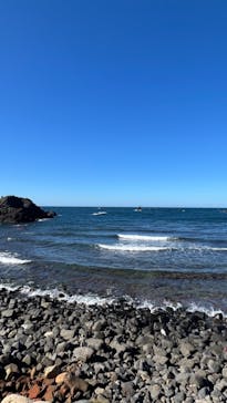 越前松島水族館に投稿された画像（2024/11/14）