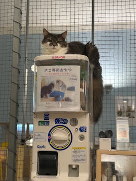 Moff アニマル カフェ イーアス 高尾店に投稿された画像（2024/11/13）