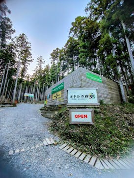 アドベンチャーパーク　オドルの森に投稿された画像（2024/11/14）