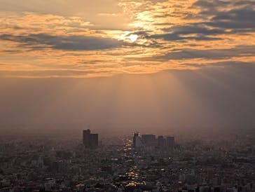 サンシャイン60展望台に投稿された画像（2024/11/14）