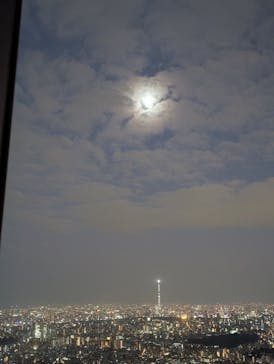 サンシャイン60展望台に投稿された画像（2024/11/14）