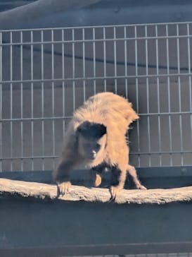 東武動物公園に投稿された画像（2024/11/14）