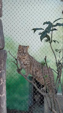 名古屋市東山動植物園に投稿された画像（2024/11/14）