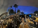 福井県立恐竜博物館に投稿された画像（2024/11/14）