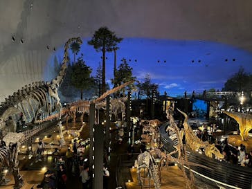 福井県立恐竜博物館に投稿された画像（2024/11/14）