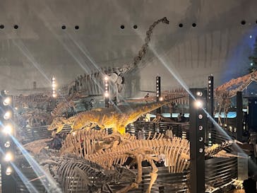 福井県立恐竜博物館に投稿された画像（2024/11/14）
