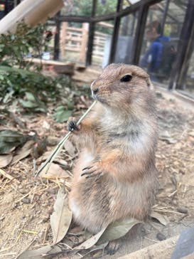 名古屋市東山動植物園に投稿された画像（2024/11/14）