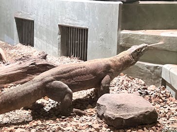 名古屋市東山動植物園に投稿された画像（2024/11/14）