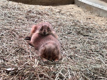名古屋市東山動植物園に投稿された画像（2024/11/14）
