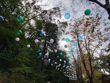 ムーミンバレーパークに投稿された画像（2024/11/14）