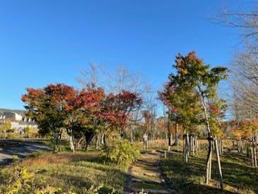 牧歌の里に投稿された画像（2024/11/14）