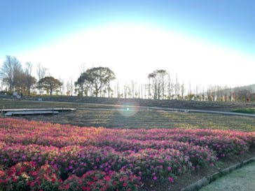 牧歌の里に投稿された画像（2024/11/14）