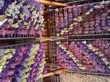 牧歌の里に投稿された画像（2024/11/14）