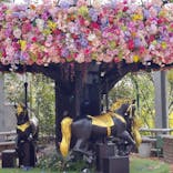 京成バラ園に投稿された画像（2024/11/14）