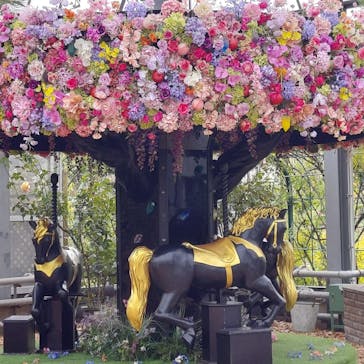 京成バラ園に投稿された画像（2024/11/14）