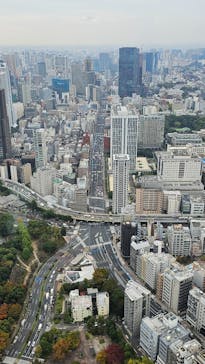 東京タワーに投稿された画像（2024/11/14）