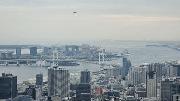 東京タワーに投稿された画像（2024/11/14）