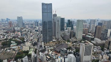 東京タワーに投稿された画像（2024/11/14）