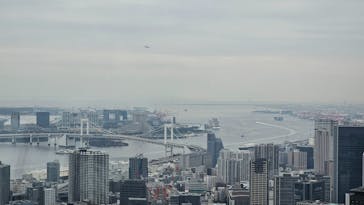 東京タワーに投稿された画像（2024/11/14）