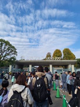 恩賜上野動物園に投稿された画像（2024/11/14）