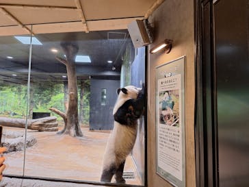 恩賜上野動物園に投稿された画像（2024/11/14）