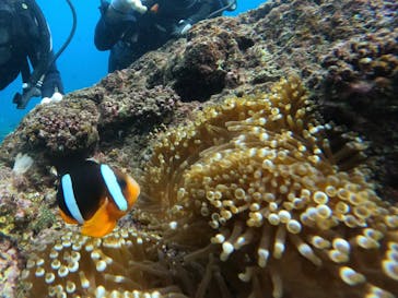 武藤潜水に投稿された画像（2024/11/14）