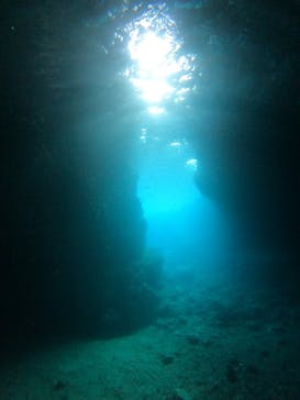 武藤潜水に投稿された画像（2024/11/14）