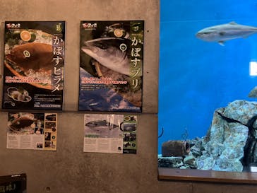 大分マリーンパレス水族館 「うみたまご」に投稿された画像（2024/11/14）