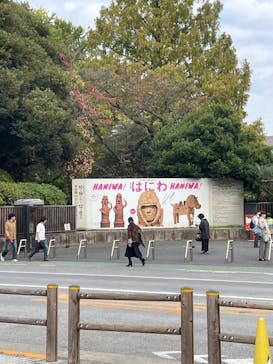 挂甲の武人 国宝指定50周年記念 特別展「はにわ」@東京国立博物館 平成館に投稿された画像（2024/11/14）