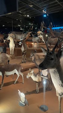 国立科学博物館に投稿された画像（2024/11/14）