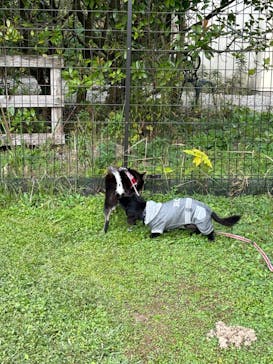 滋賀農業公園ブルーメの丘に投稿された画像（2024/11/14）