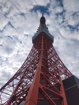 東京タワーに投稿された画像（2024/11/14）