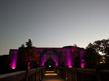 ニジゲンノモリに投稿された画像（2024/11/14）