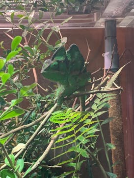 マクセル アクアパーク品川に投稿された画像（2024/11/14）