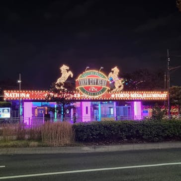 東京メガイルミに投稿された画像（2024/11/14）