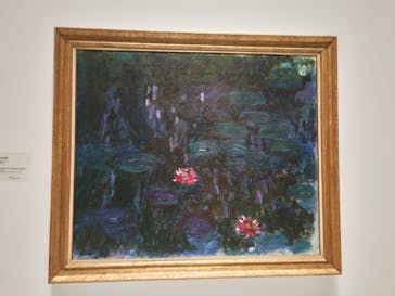 モネ 睡蓮のとき（国立西洋美術館）に投稿された画像（2024/11/14）