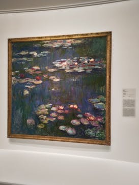 モネ 睡蓮のとき（国立西洋美術館）に投稿された画像（2024/11/14）