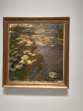 モネ 睡蓮のとき（国立西洋美術館）に投稿された画像（2024/11/14）