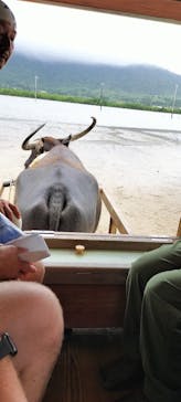 西表島 ADVENTURE PiPi（アドベンチャーピピ）に投稿された画像（2024/11/14）