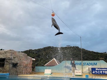 下田海中水族館に投稿された画像（2024/11/14）