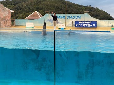 下田海中水族館に投稿された画像（2024/11/14）
