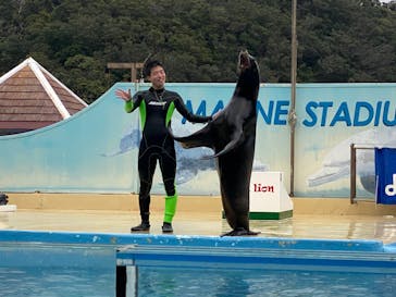 下田海中水族館に投稿された画像（2024/11/14）