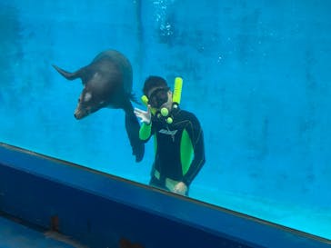 下田海中水族館に投稿された画像（2024/11/14）