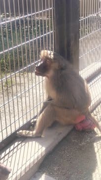 東武動物公園に投稿された画像（2024/11/14）