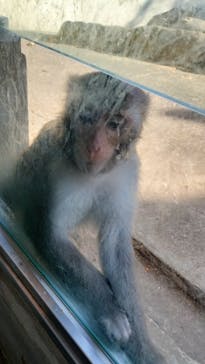 東武動物公園に投稿された画像（2024/11/14）