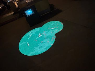 国営昭和記念公園 秋の夜散歩に投稿された画像（2024/11/14）