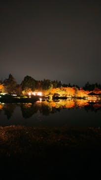 国営昭和記念公園 秋の夜散歩に投稿された画像（2024/11/14）