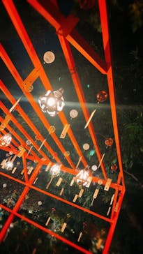 国営昭和記念公園 秋の夜散歩に投稿された画像（2024/11/14）